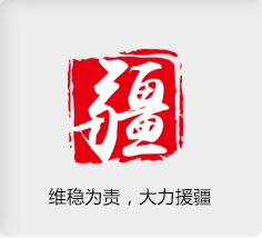 维稳为责，大力援疆